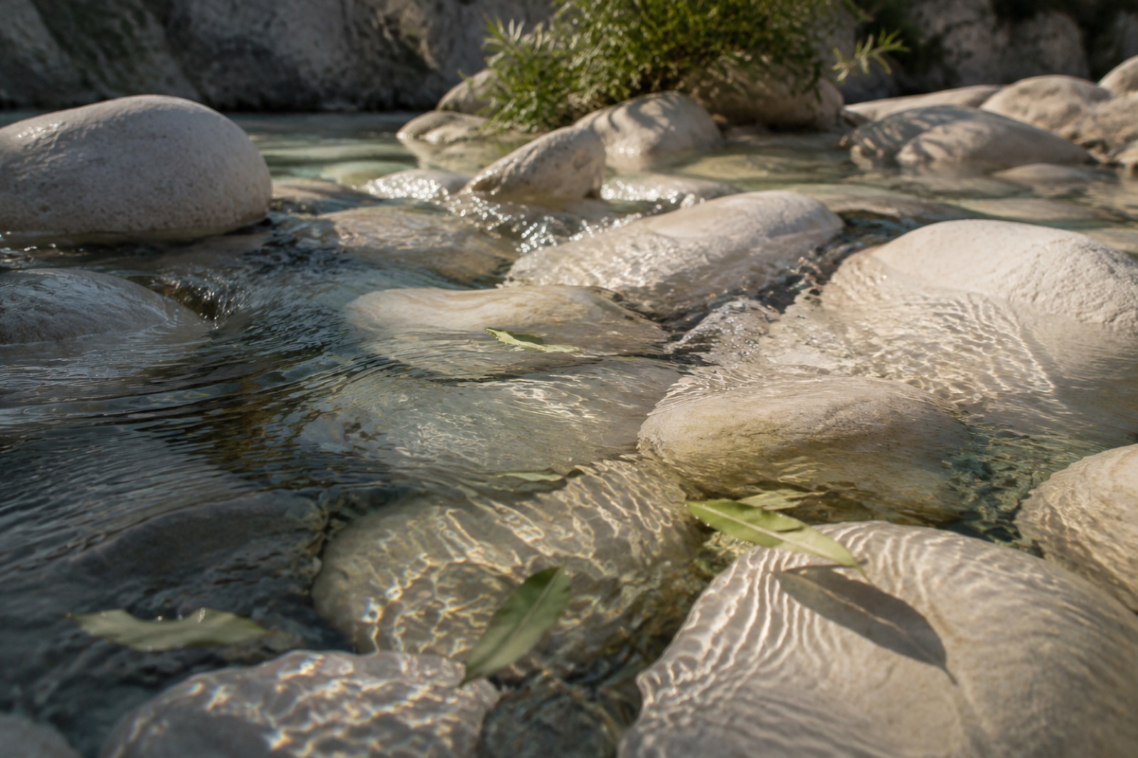 Acqua limpida che scorre tra pietre chiare e foglie verdi.